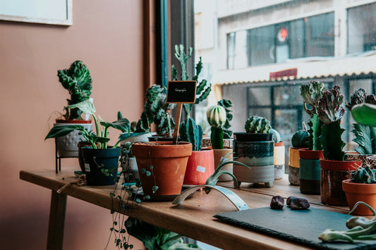 How to Measure Plant Pots